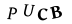 captcha-input