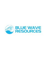 Blue Wave Resources FZC