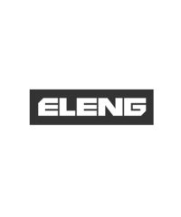 ELENG LLC