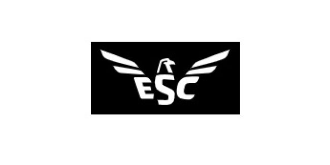 ESC Global Security (ESC Ltd.)