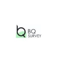 BQ Survey