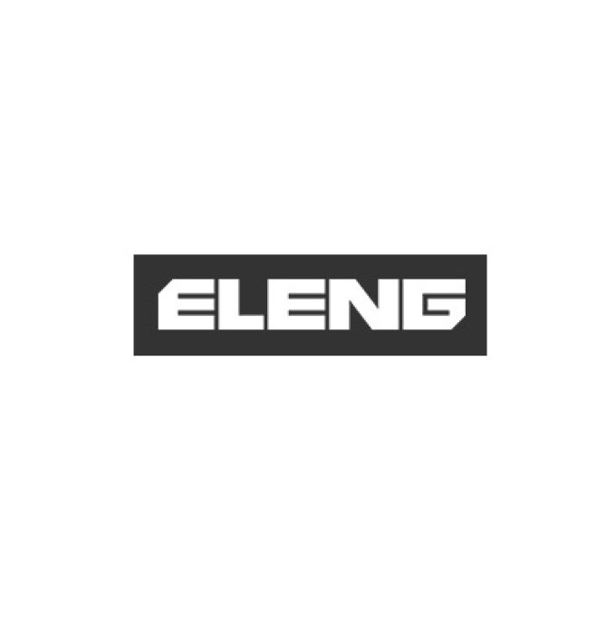 ELENG LLC