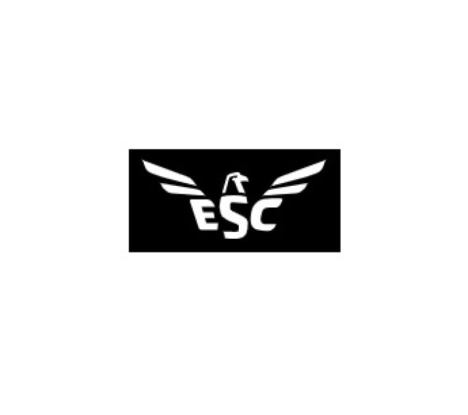 ESC Global Security (ESC Ltd.)