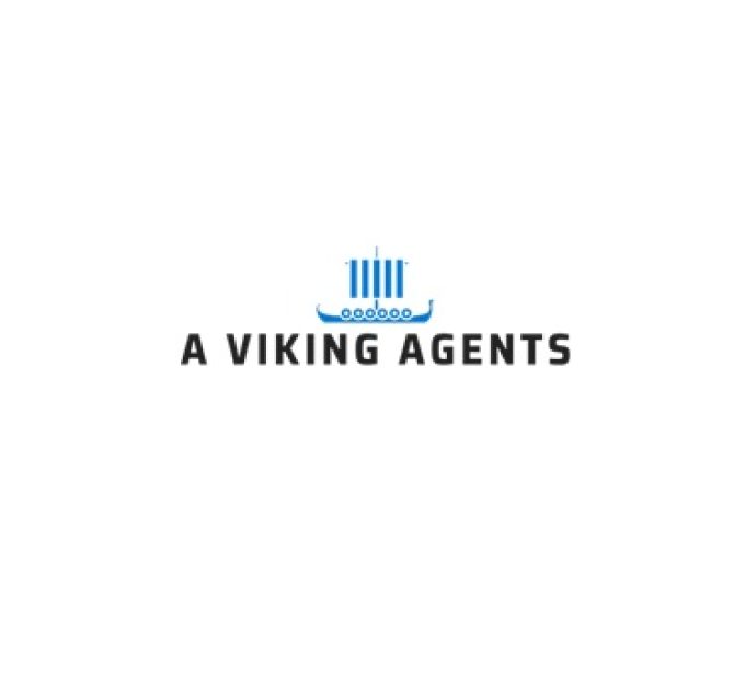 A Viking Agents