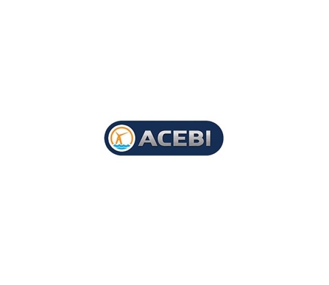 ACEBI Group